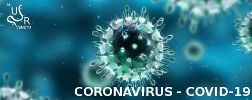 evidenza coronavirus